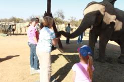 me-and-elephant